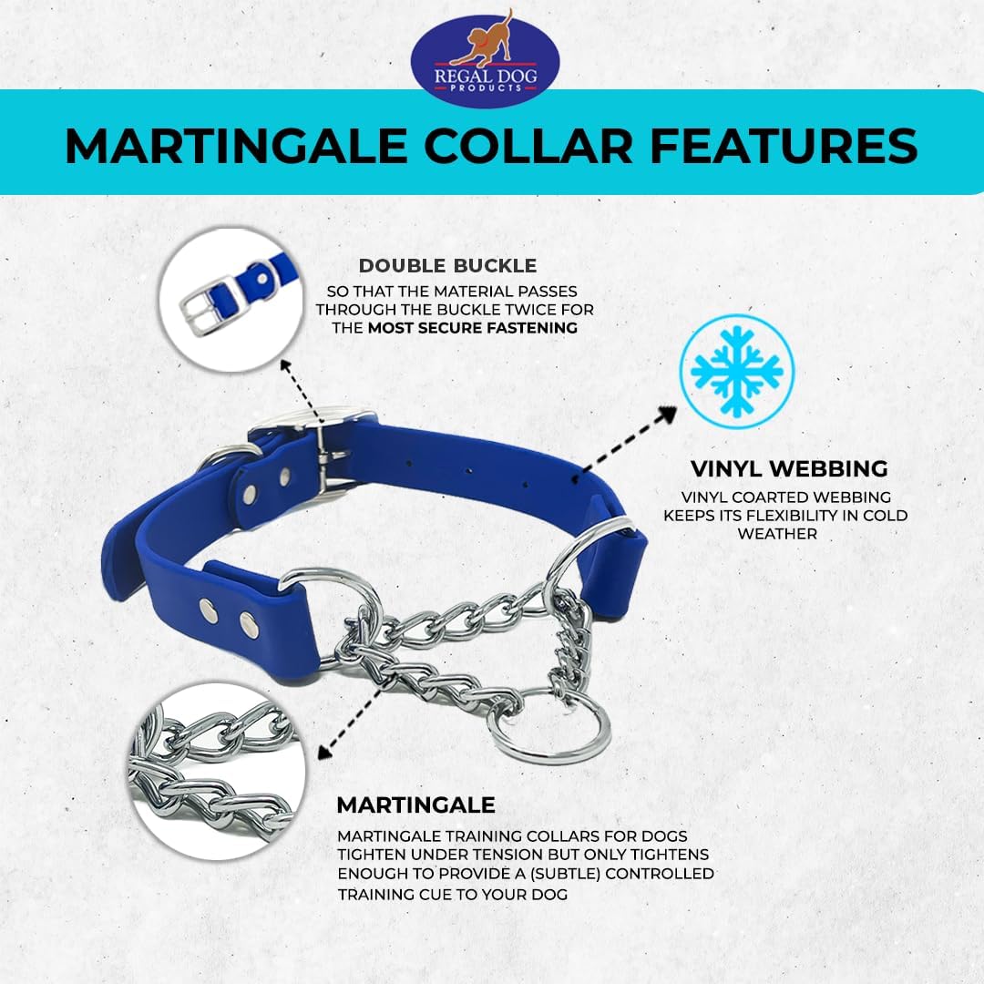 Regal Dog Products Personalized Martingale Dog Collar – Custom Engraved ID Tag