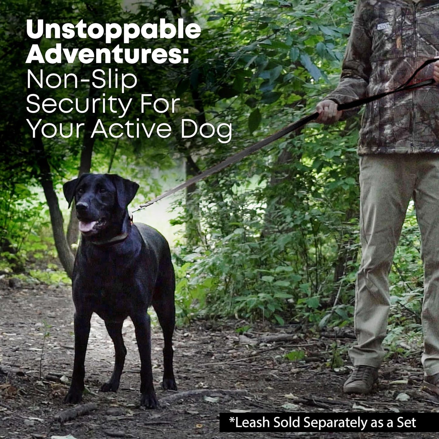 Waterproof Dog Collar with Heavy Duty Center Ring - Custom Fit Vinyl-Coated Webbing Water Resistant with Double Buckle and D Ring