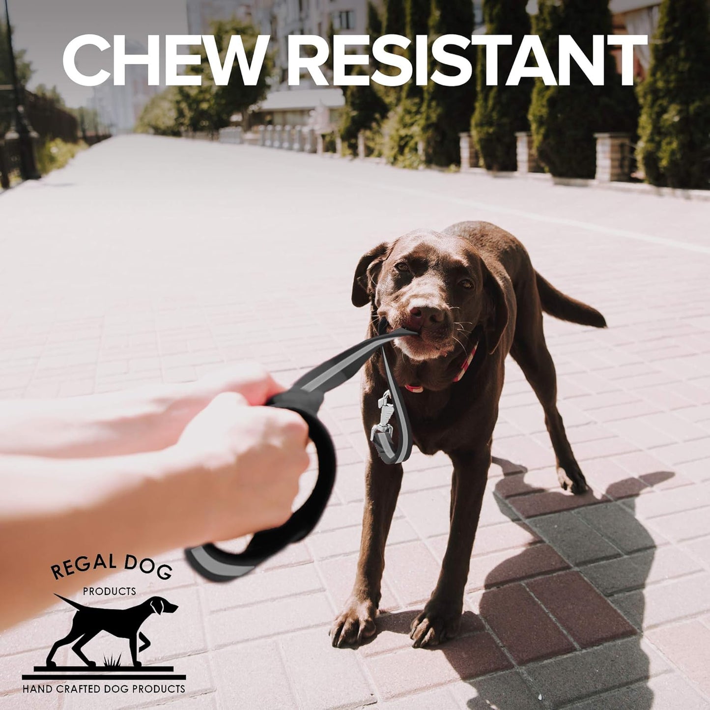 Regal Dog Products Reflective Leash – 5 ft. Dog Leash with Easy to Use Collar Hook