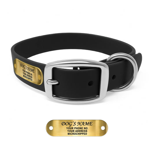 Regal Dog Products Waterproof Dog Collars with Custom Engraved Name Plate