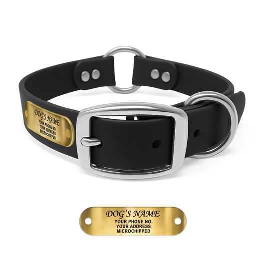Regal Dog Products Personalized Dog Collar with Custom Engraved Name Plate - with Double Buckle & Center Ring