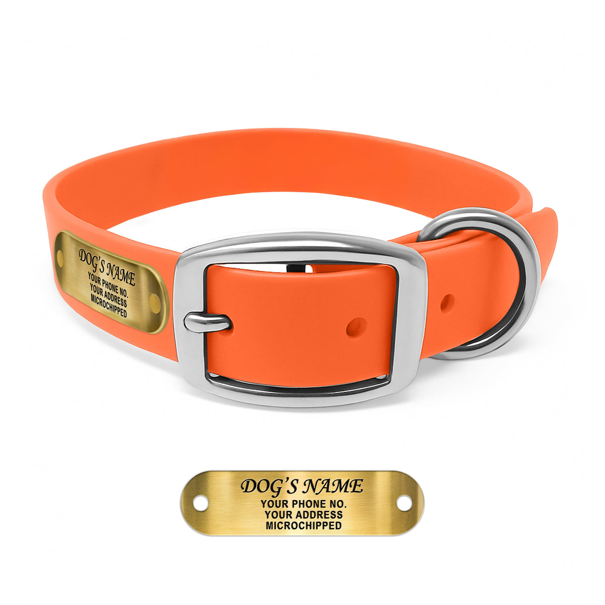 Regal Dog Products Waterproof Dog Collars with Custom Engraved Name Plate