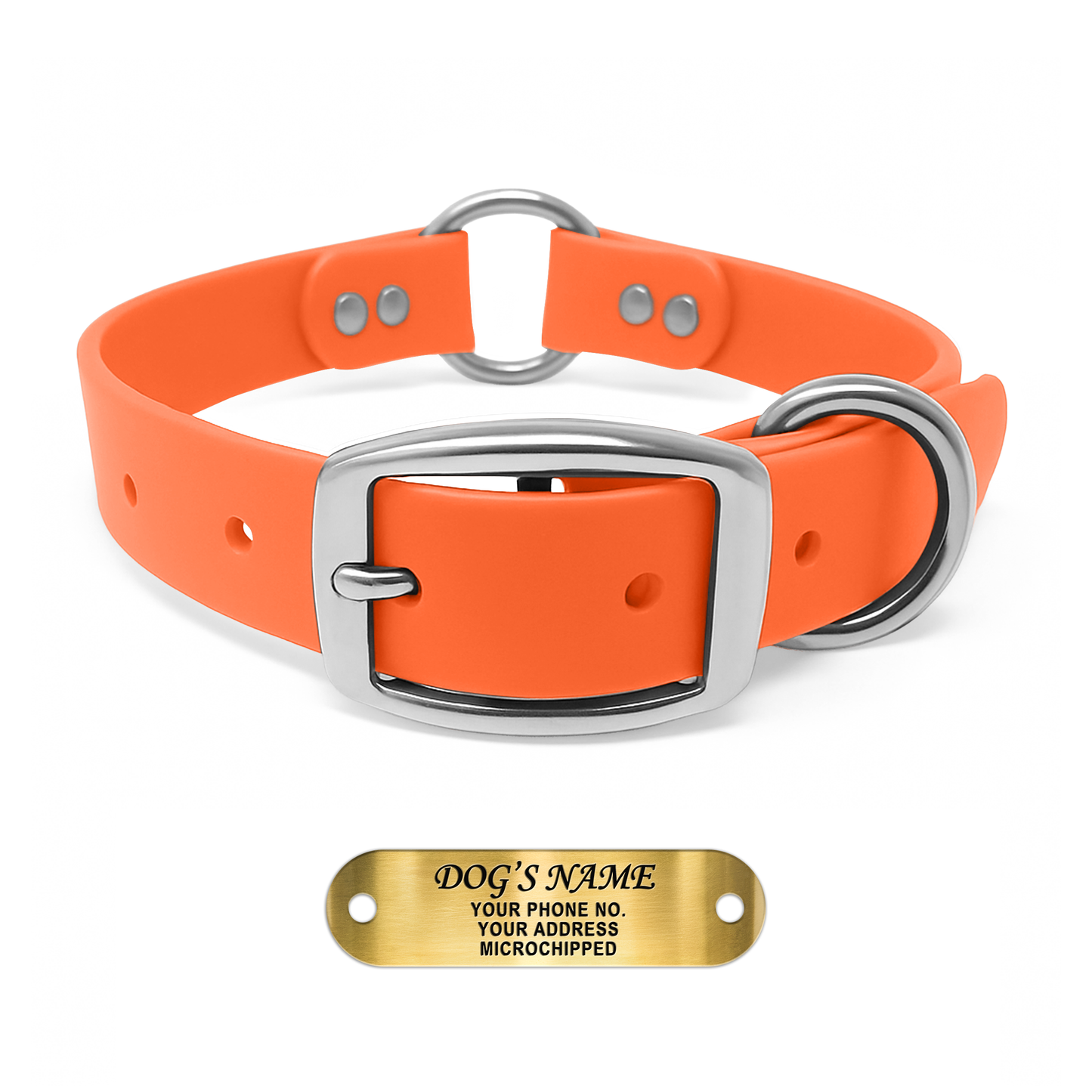 Regal Dog Products Personalized Dog Collar with Custom Engraved Name Plate - with Double Buckle & Center Ring
