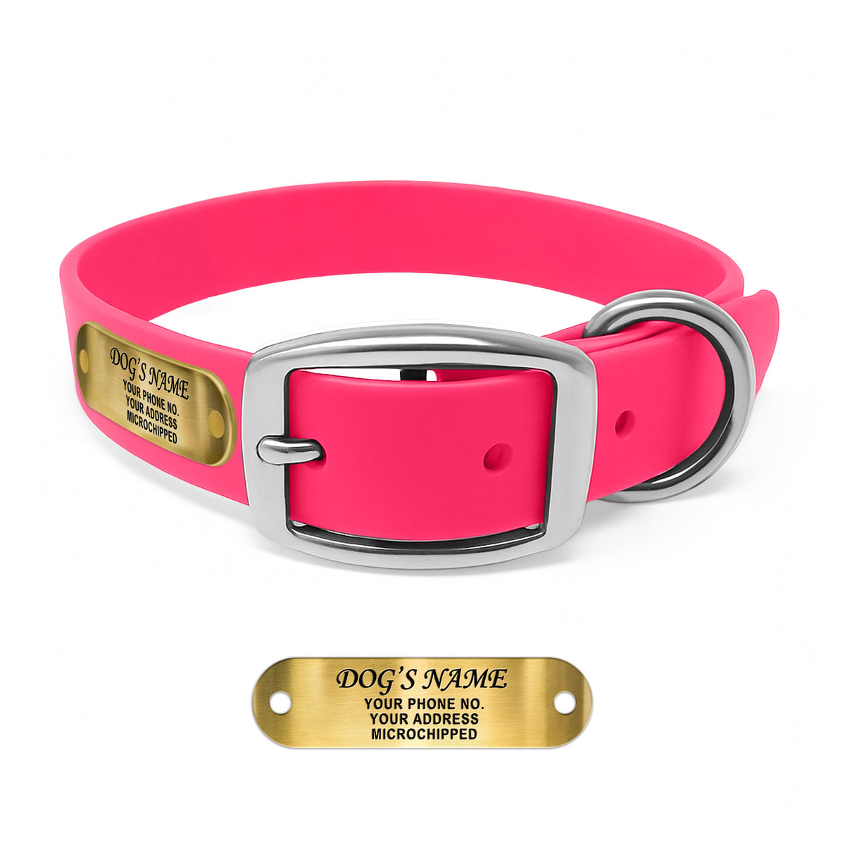 Regal Dog Products Waterproof Dog Collars with Custom Engraved Name Plate