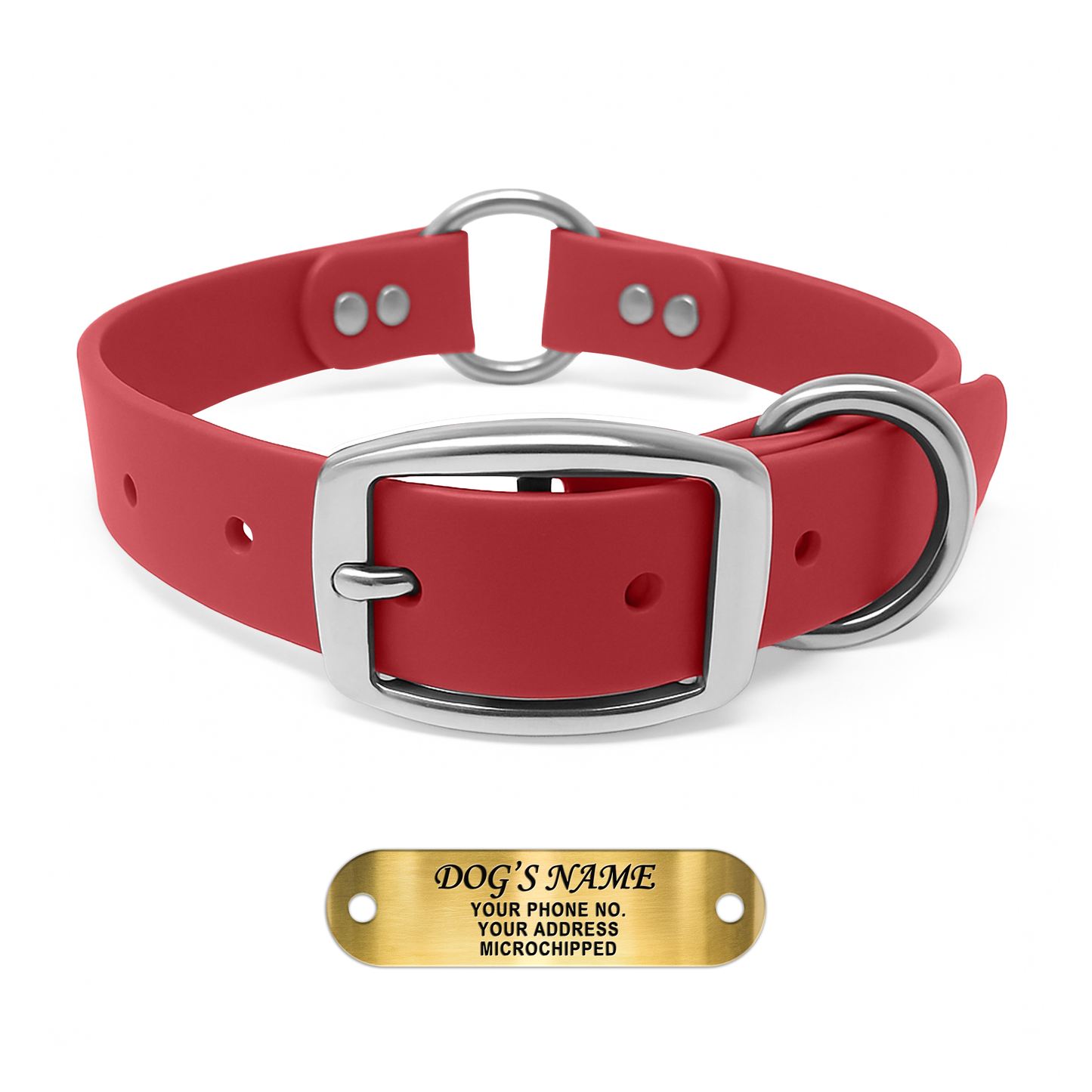 Regal Dog Products Personalized Dog Collar with Custom Engraved Name Plate - with Double Buckle & Center Ring