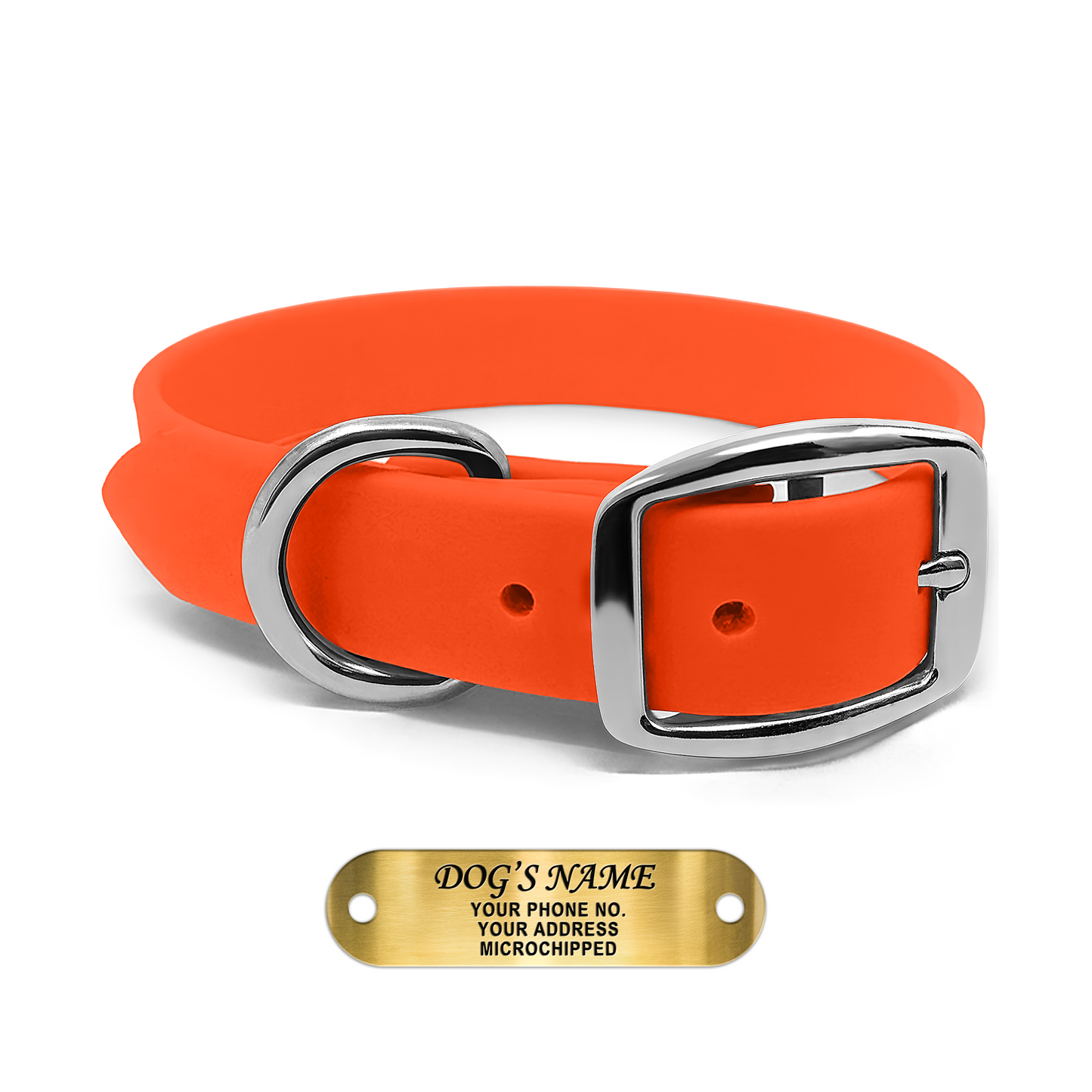 Regal Dog Products Waterproof Dog Collars with Custom Engraved Name Plate
