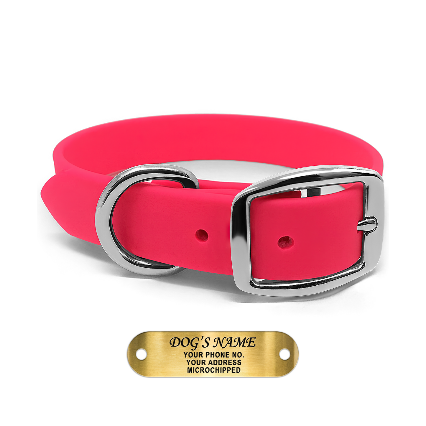 Regal Dog Products Waterproof Dog Collars with Custom Engraved Name Plate