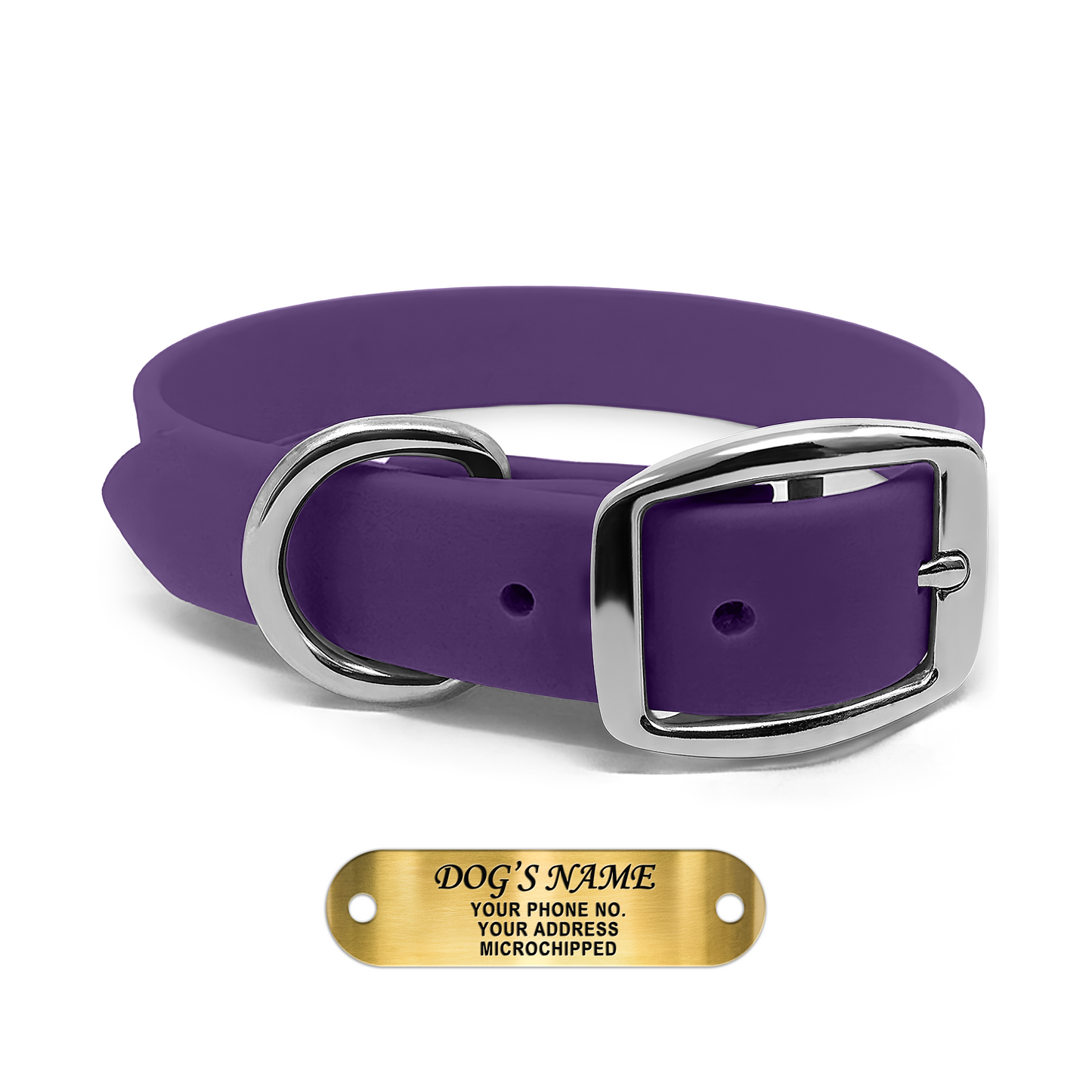 Regal Dog Products Waterproof Dog Collars with Custom Engraved Name Plate