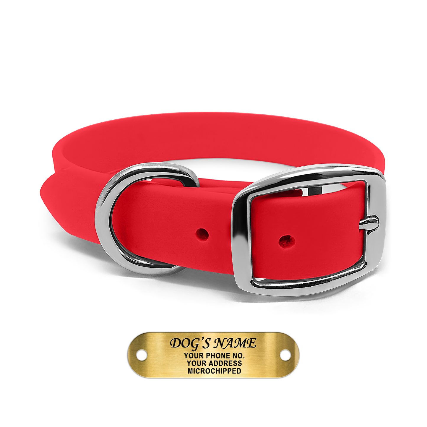 Regal Dog Products Waterproof Dog Collars with Custom Engraved Name Plate