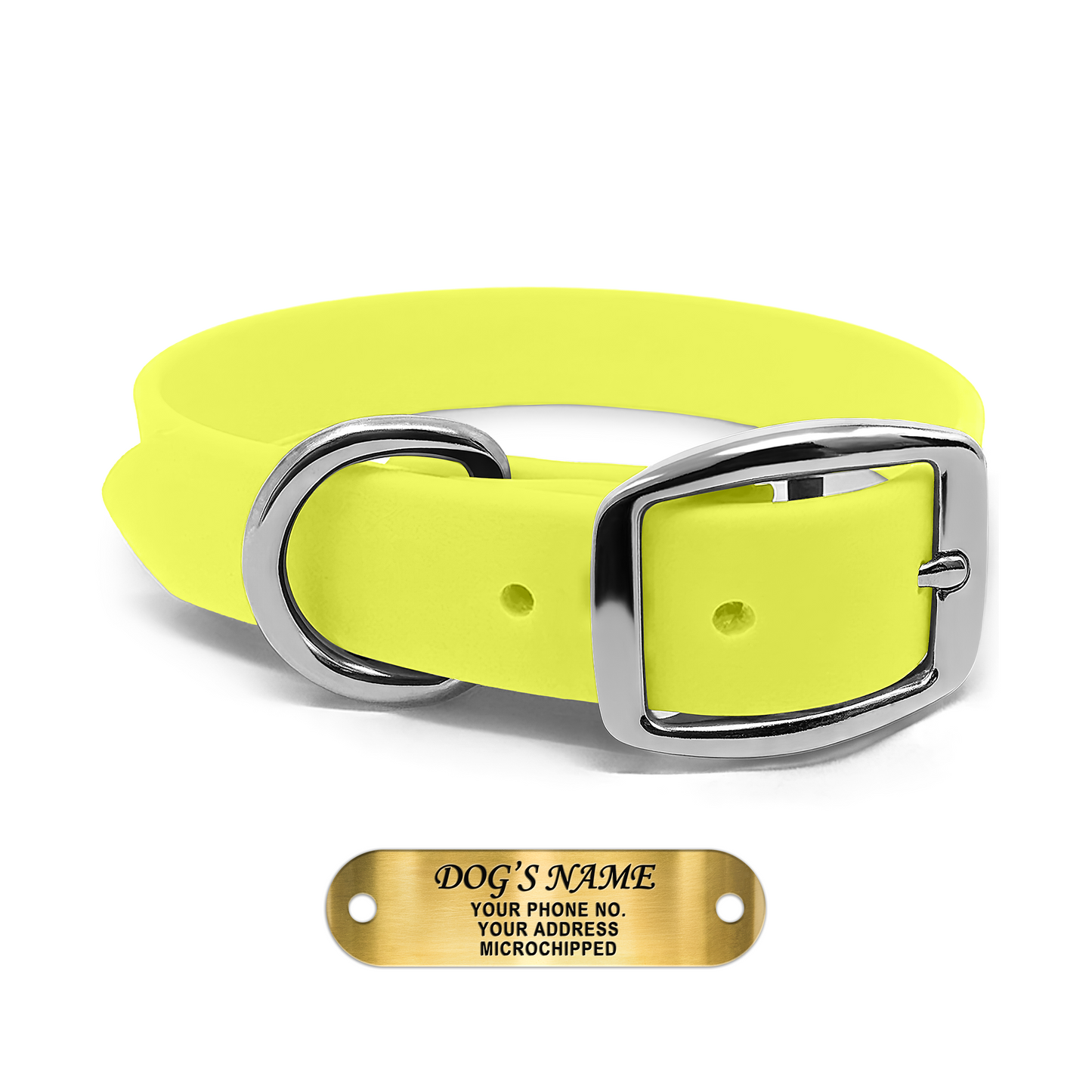 Regal Dog Products Waterproof Dog Collars with Custom Engraved Name Plate