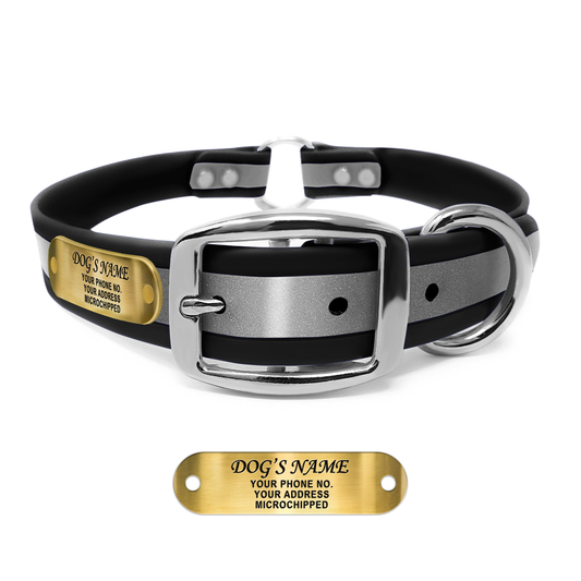 Regal Dog Products Reflective Dog Collar with Custom Engraved Name Plate and Heavy Duty Center Ring