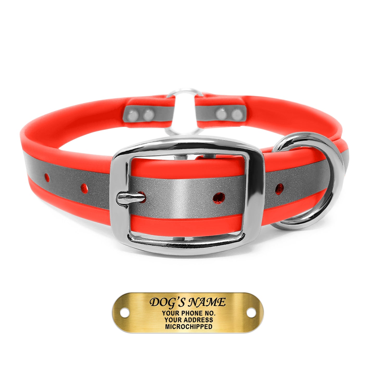 Regal Dog Products Reflective Dog Collar with Custom Engraved Name Plate and Heavy Duty Center Ring