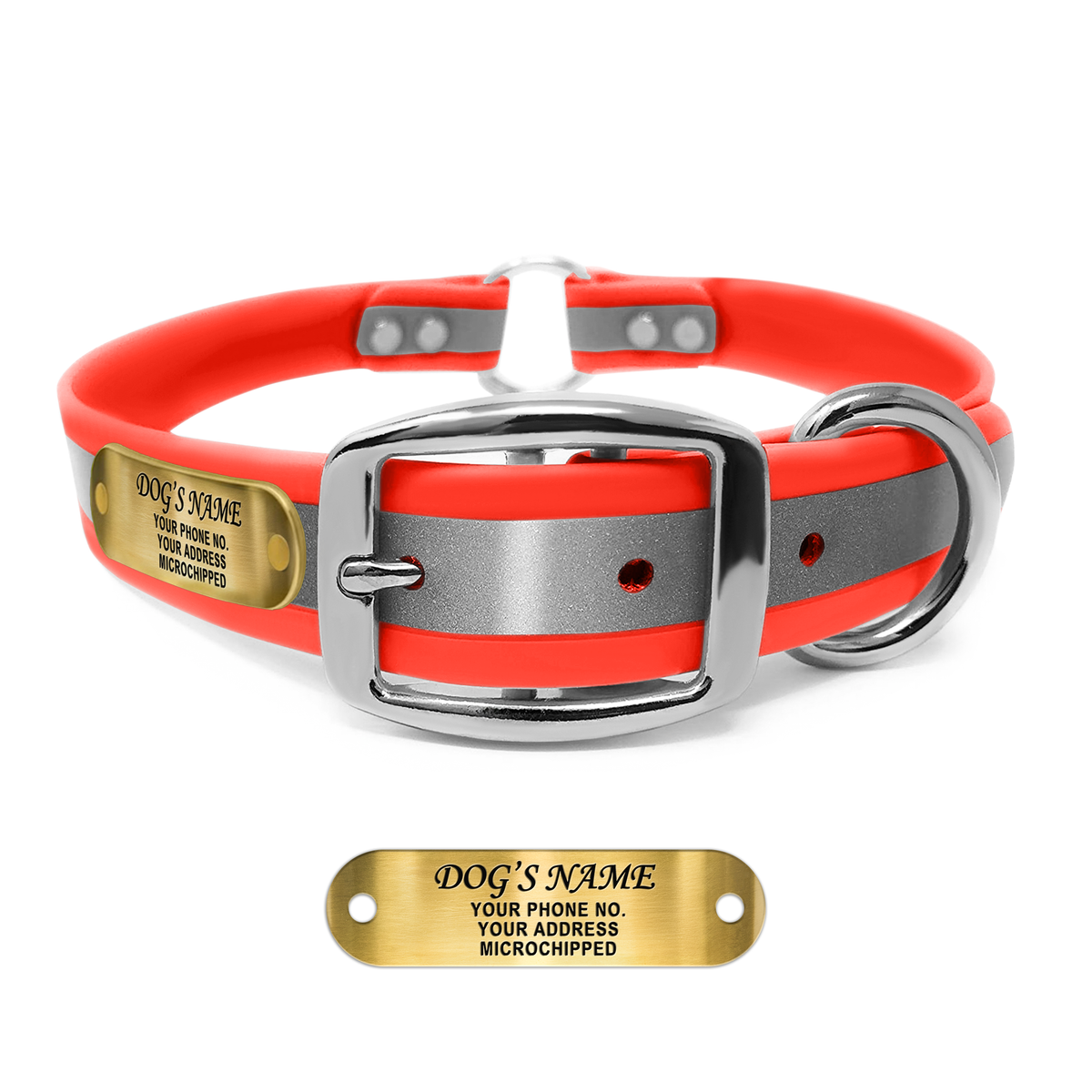 Regal Dog Products Reflective Dog Collar with Custom Engraved Name Plate and Heavy Duty Center Ring