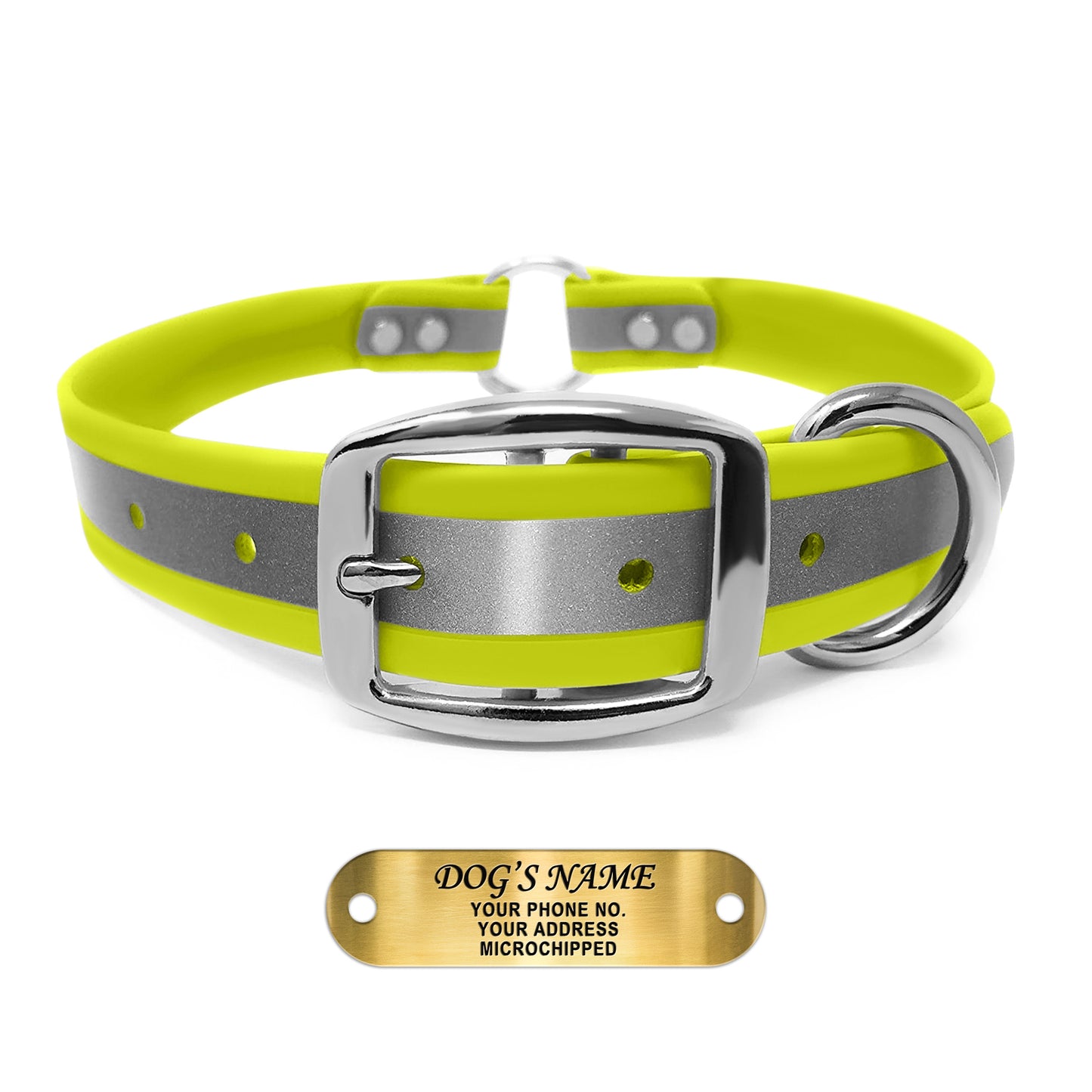 Regal Dog Products Reflective Dog Collar with Custom Engraved Name Plate and Heavy Duty Center Ring