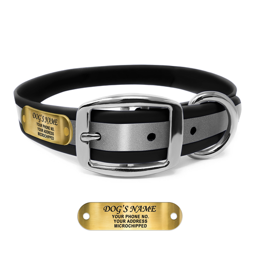 Regal Dog Products Reflective Dog Collar with Custom Engraved Name Plate with D Ring & Double Buckle