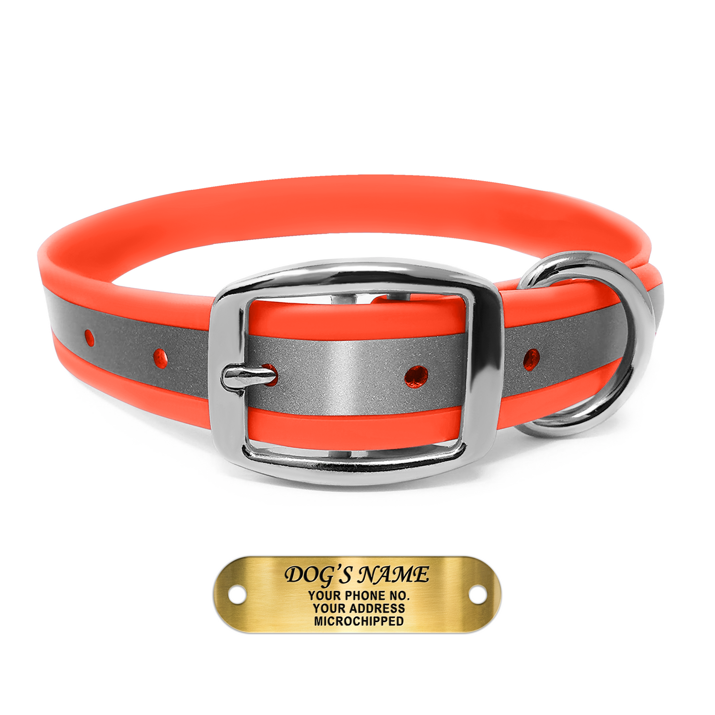 Regal Dog Products Reflective Dog Collar with Custom Engraved Name Plate with D Ring & Double Buckle