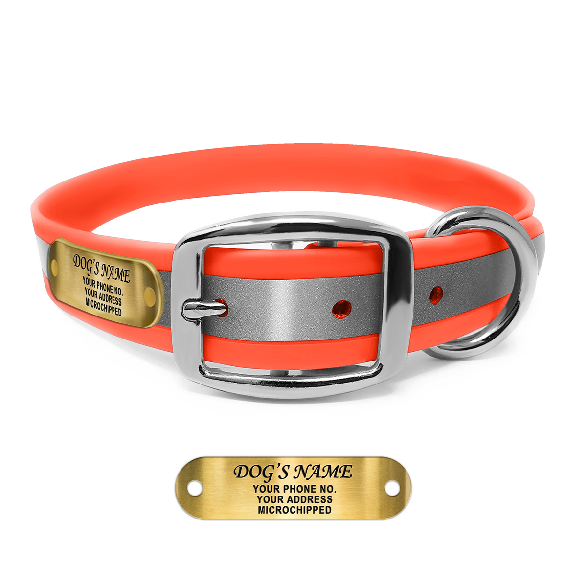 Regal Dog Products Reflective Dog Collar with Custom Engraved Name Plate with D Ring & Double Buckle