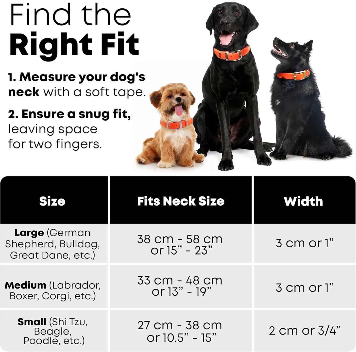 Regal Dog Products Heavy Duty Reflective Dog Collar for Small, Medium and Large Dogs