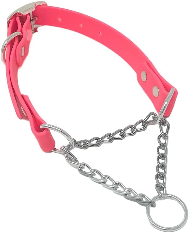Regal Dog Products Waterproof Martingale Dog Collar –  With Chain