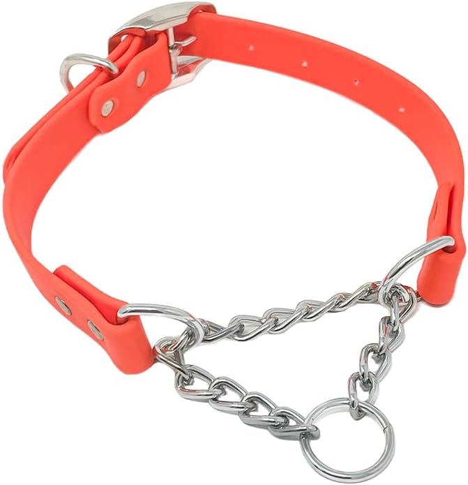 Regal Dog Products Waterproof Martingale Dog Collar –  With Chain