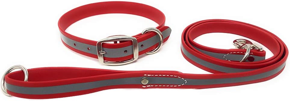 Regal Dog Products Heavy Duty Reflective Dog Collar for Small, Medium and Large Dogs