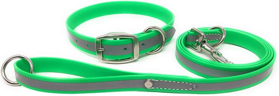 Regal Dog Products Heavy Duty Reflective Dog Collar for Small, Medium and Large Dogs