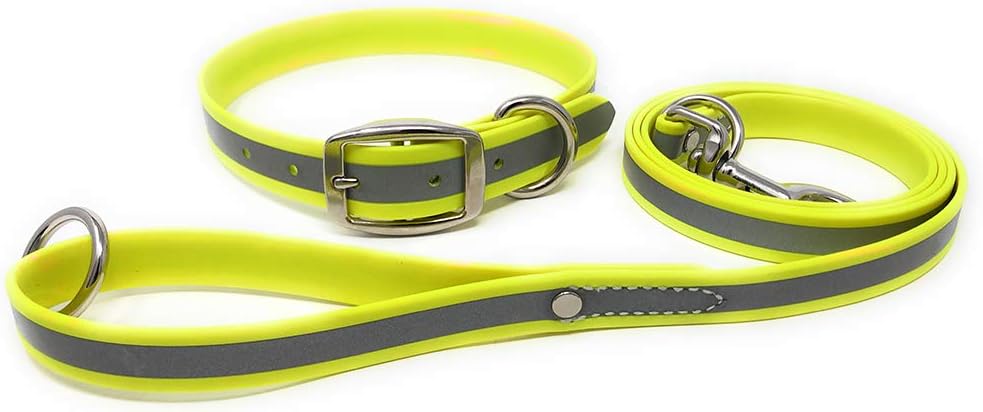 Regal Dog Products Heavy Duty Reflective Dog Collar for Small, Medium and Large Dogs