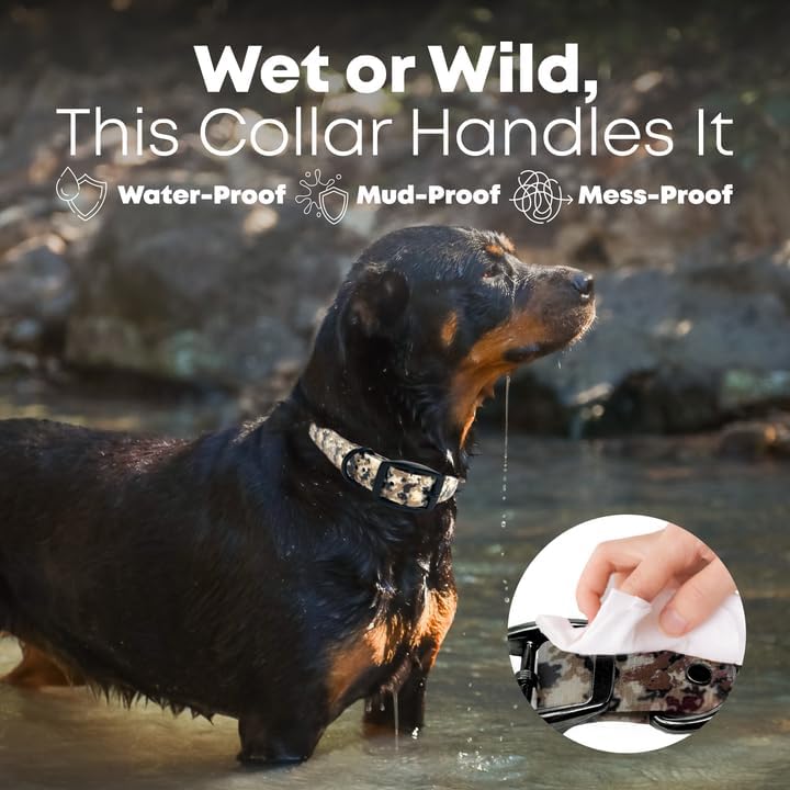 Regal Dog Products Camo Hunting Dog Collar - With Custom Engraved Name Plate & Black Hardware