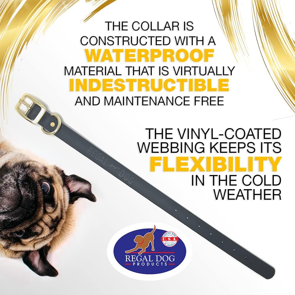 Regal Dog Products Waterproof Dog Collar with Gold Hardware