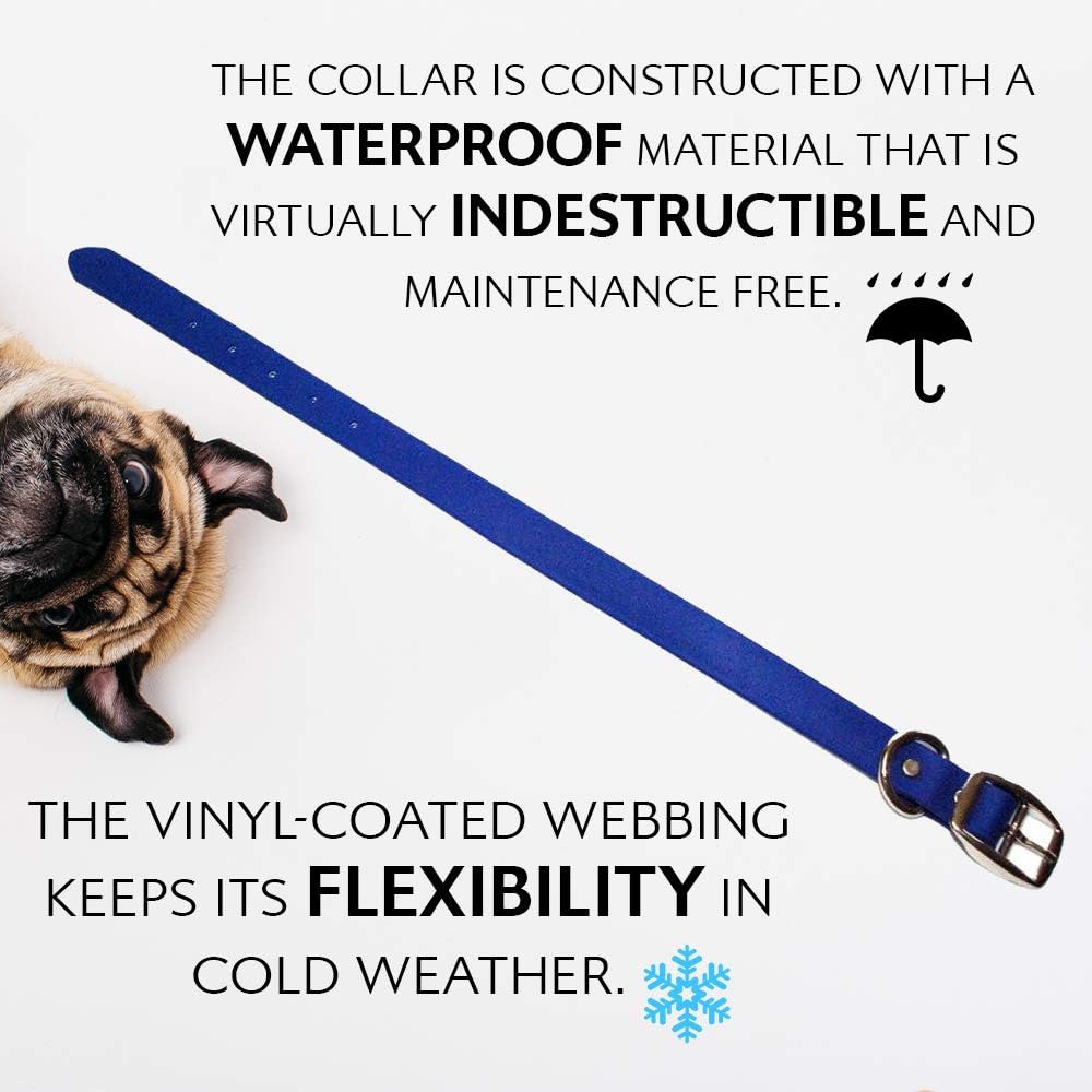 Regal Dog Products Waterproof Standard Dog Collar with Black Hardware
