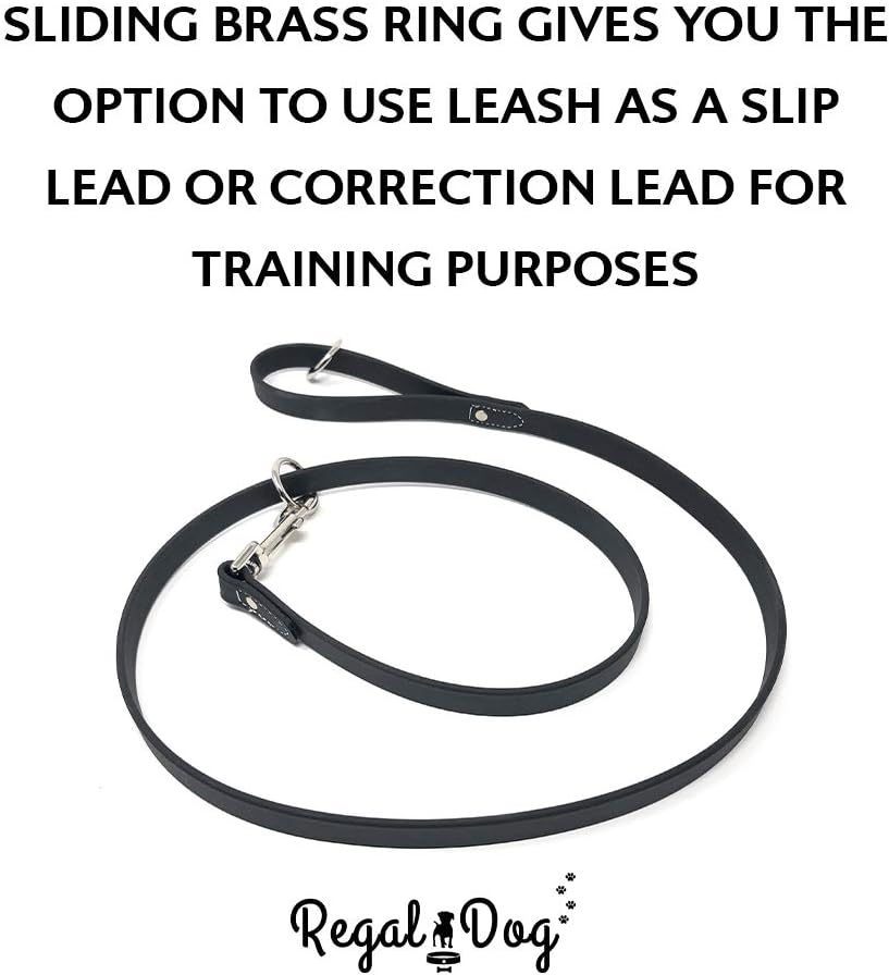 Regal Dog Products Waterproof Dog Collar and Leash Set – 5 FT Leash with Heavy Duty Double Buckle & D Ring
