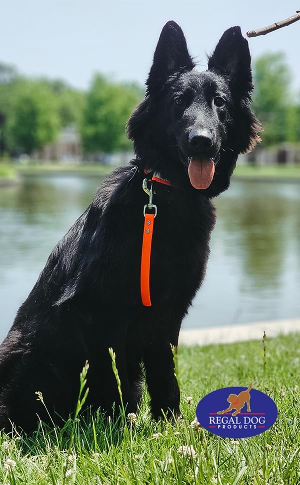Regal Dog Products Short Dog Leash – 12" Biothane Training Tab Leash , Waterproof Heavy Duty Traffic Lead for Dogs