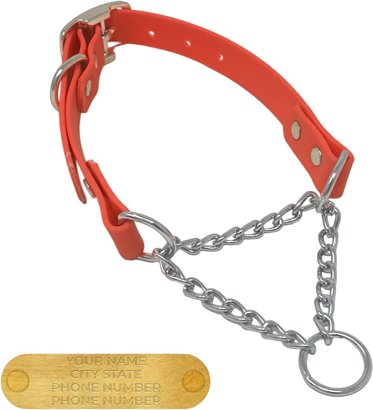 Regal Dog Products Personalized Martingale Dog Collar – Custom Engraved ID Tag