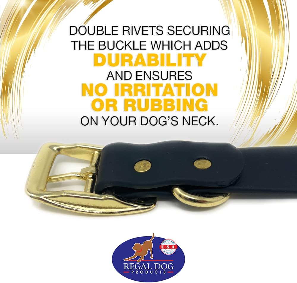 Regal Dog Products Waterproof Dog Collar with Gold Hardware