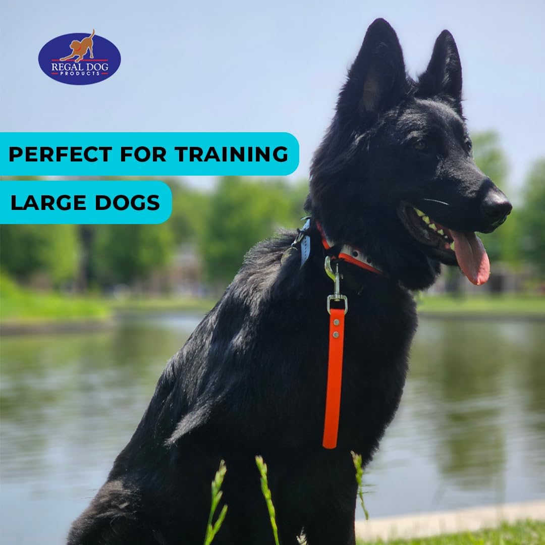 Regal Dog Products Short Dog Leash – 12" Biothane Training Tab Leash , Waterproof Heavy Duty Traffic Lead for Dogs