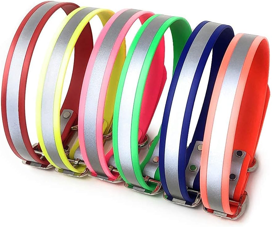 Regal Dog Products Reflective Dog Collar with Custom Engraved Name Plate with D Ring & Double Buckle