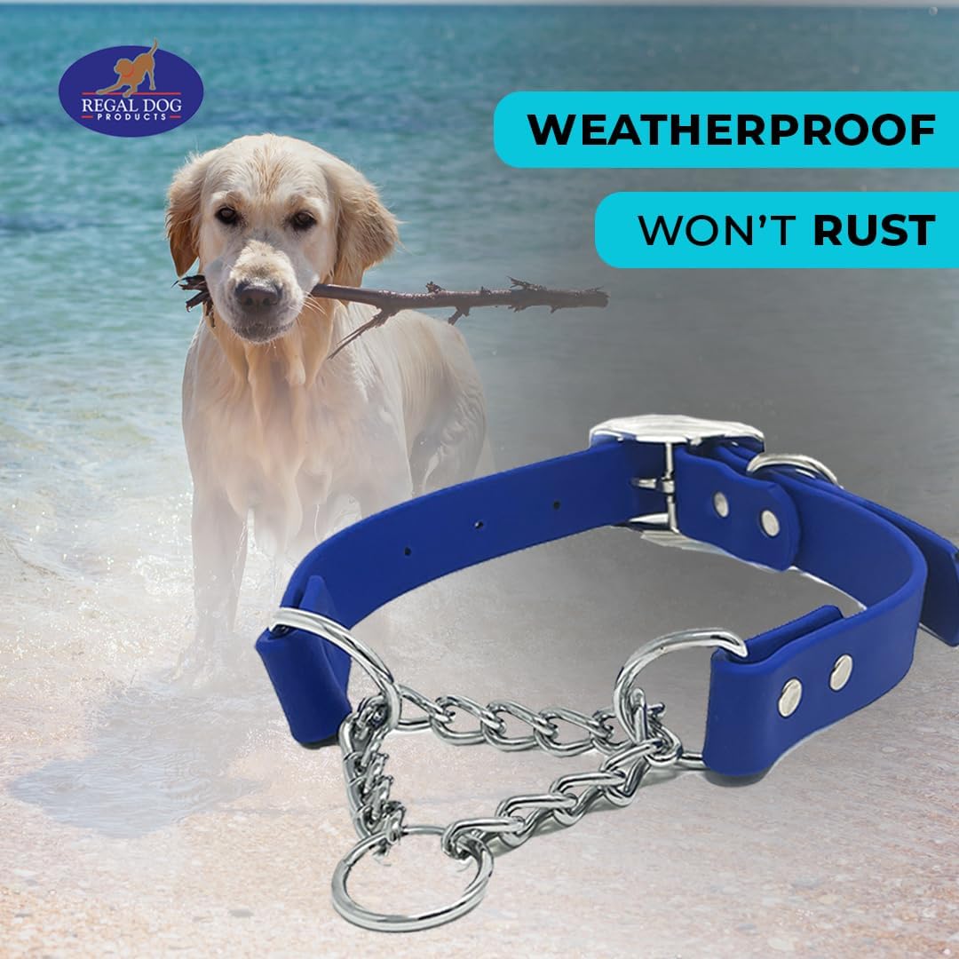 Regal Dog Products Waterproof Martingale Dog Collar –  With Chain