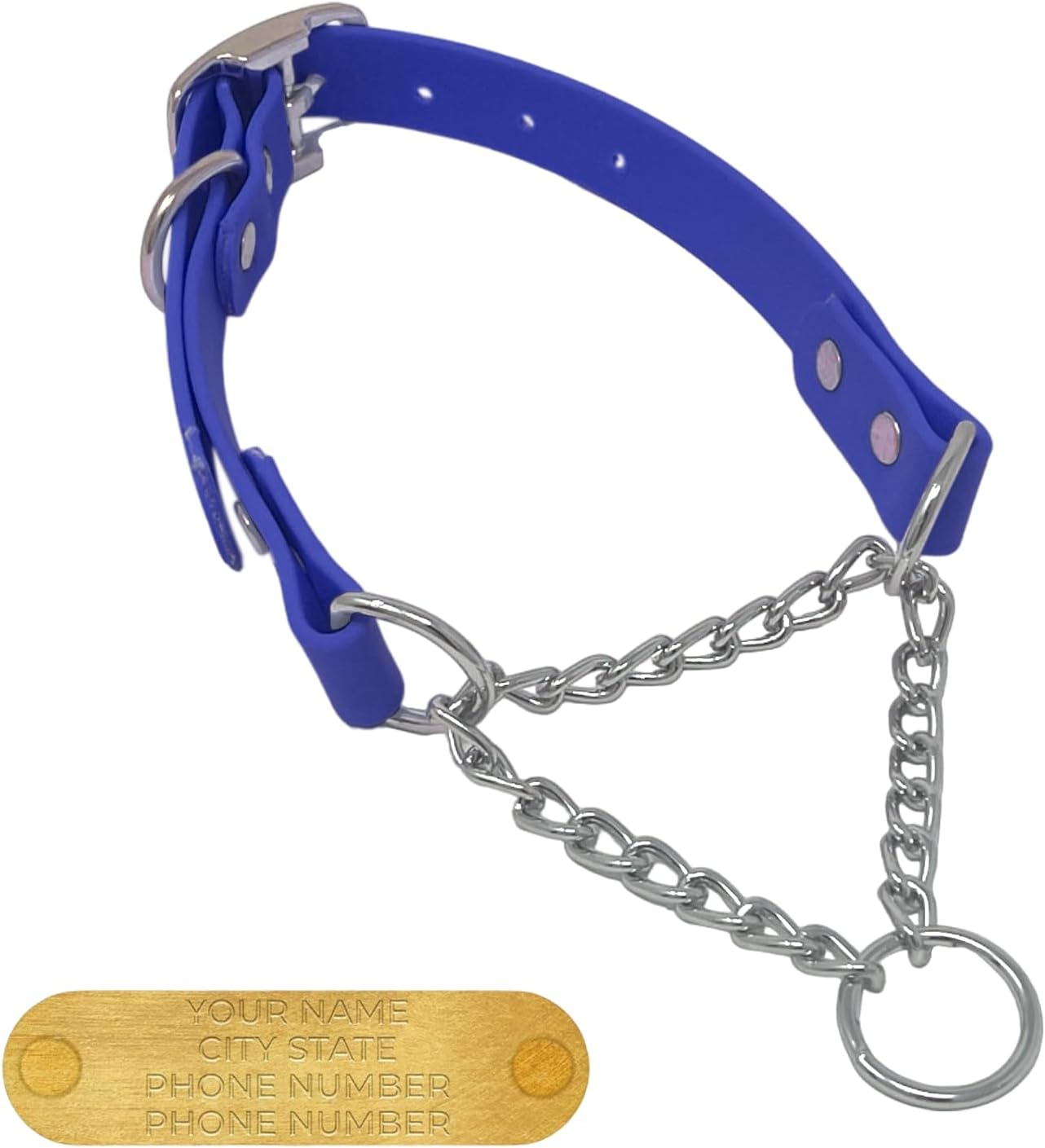 Regal Dog Products Personalized Martingale Dog Collar – Custom Engraved ID Tag
