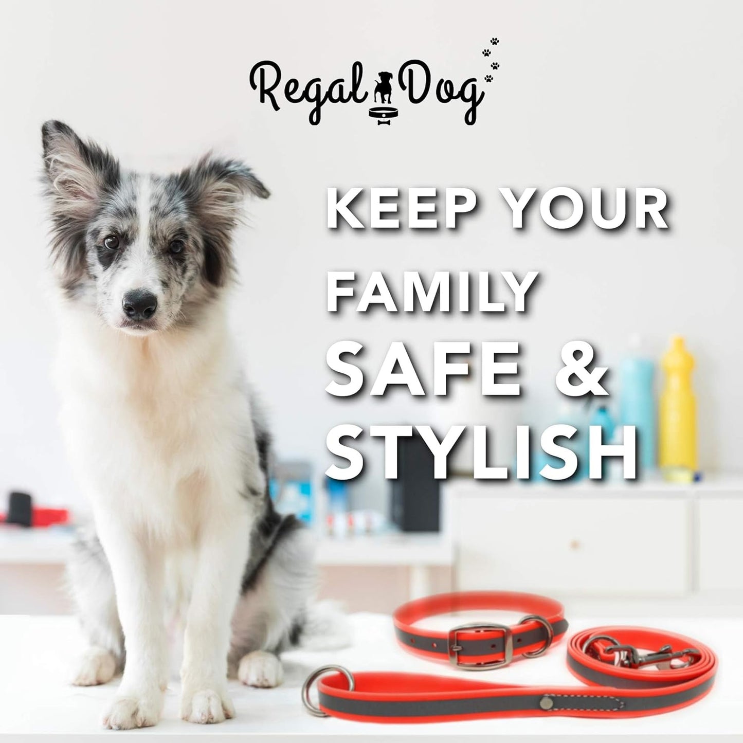 Regal Dog Products Heavy Duty Reflective Dog Collar for Small, Medium and Large Dogs