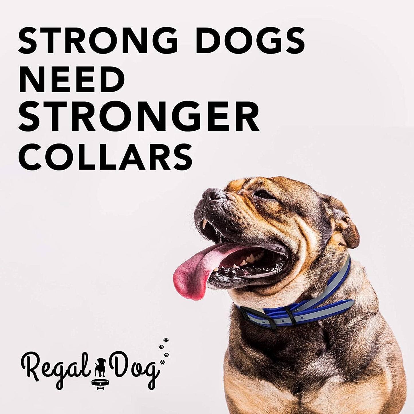 Regal Dog Products Reflective Waterproof Hunting Dog Collar with Heavy Duty Black Hardware Center Ring and Buckle