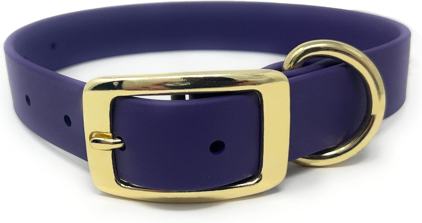 Regal Dog Products Waterproof Dog Collar with Gold Hardware