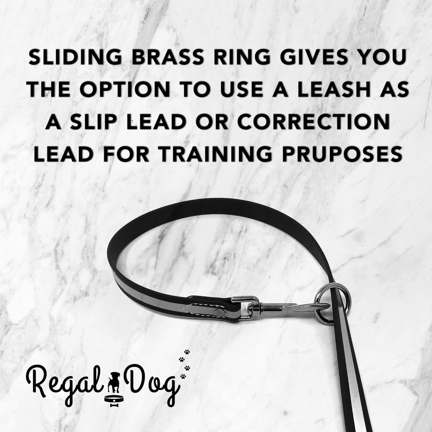 Regal Dog Products Heavy Duty Reflective Dog Collar for Small, Medium and Large Dogs