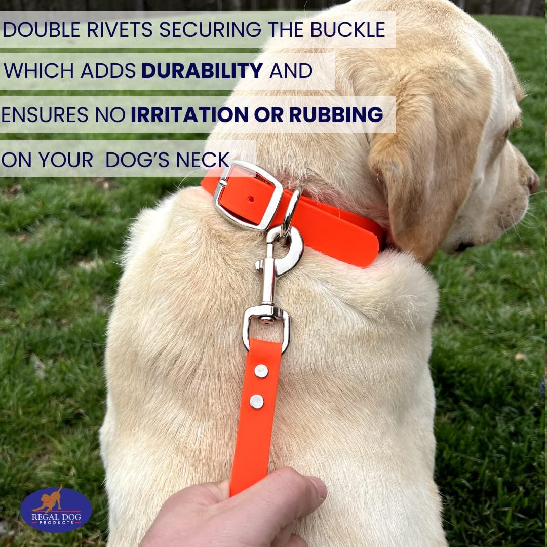 Regal Dog Products Short Dog Leash – 12" Biothane Training Tab Leash , Waterproof Heavy Duty Traffic Lead for Dogs