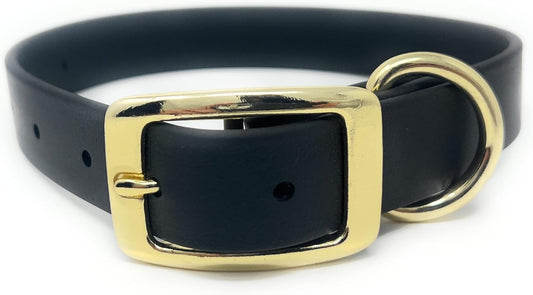 Regal Dog Products Waterproof Dog Collar with Gold Hardware