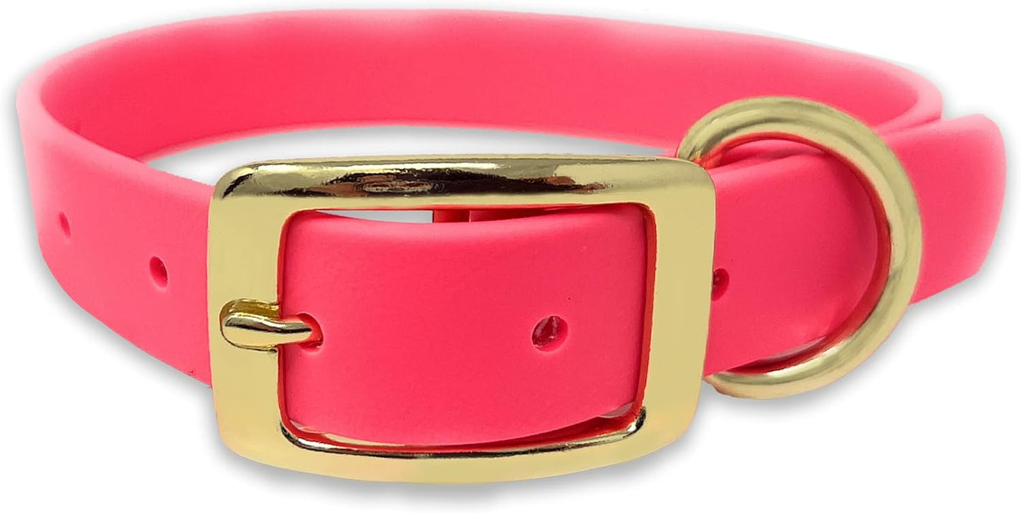 Regal Dog Products Waterproof Dog Collar with Gold Hardware
