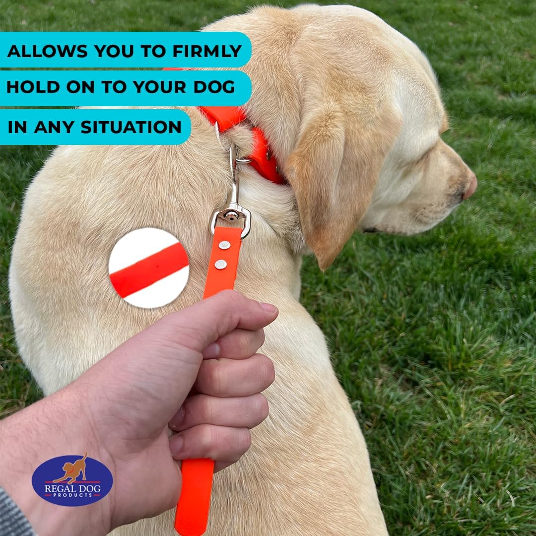 Regal Dog Products Short Dog Leash – 12" Biothane Training Tab Leash , Waterproof Heavy Duty Traffic Lead for Dogs