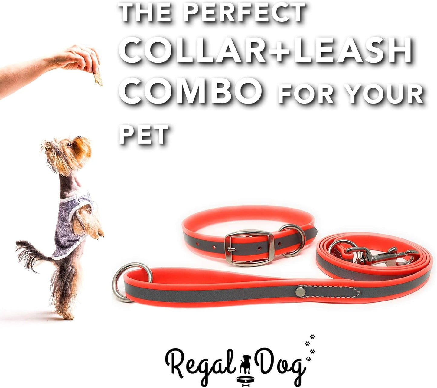 Regal Dog Products Heavy Duty Reflective Dog Collar for Small, Medium and Large Dogs