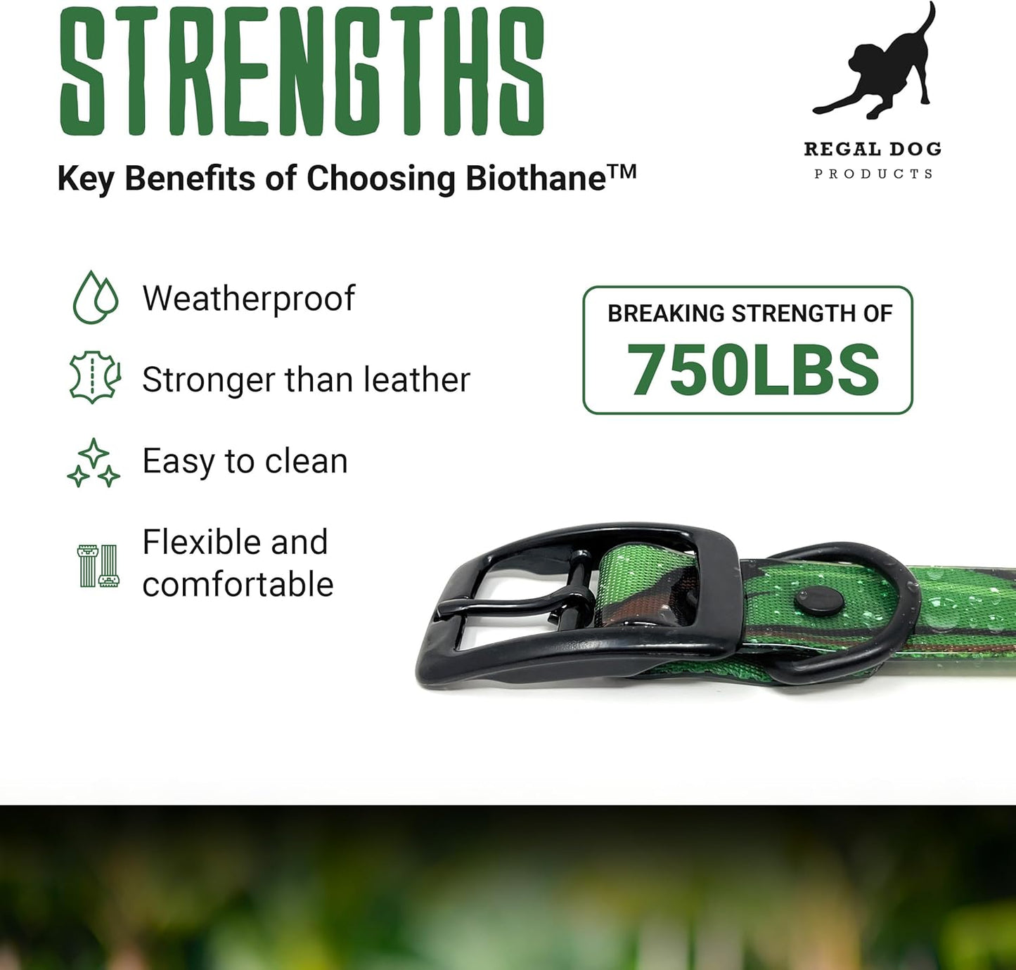 Regal Dog Products Waterproof Hunting Dog Collar –  With Heavy Duty Hardware
