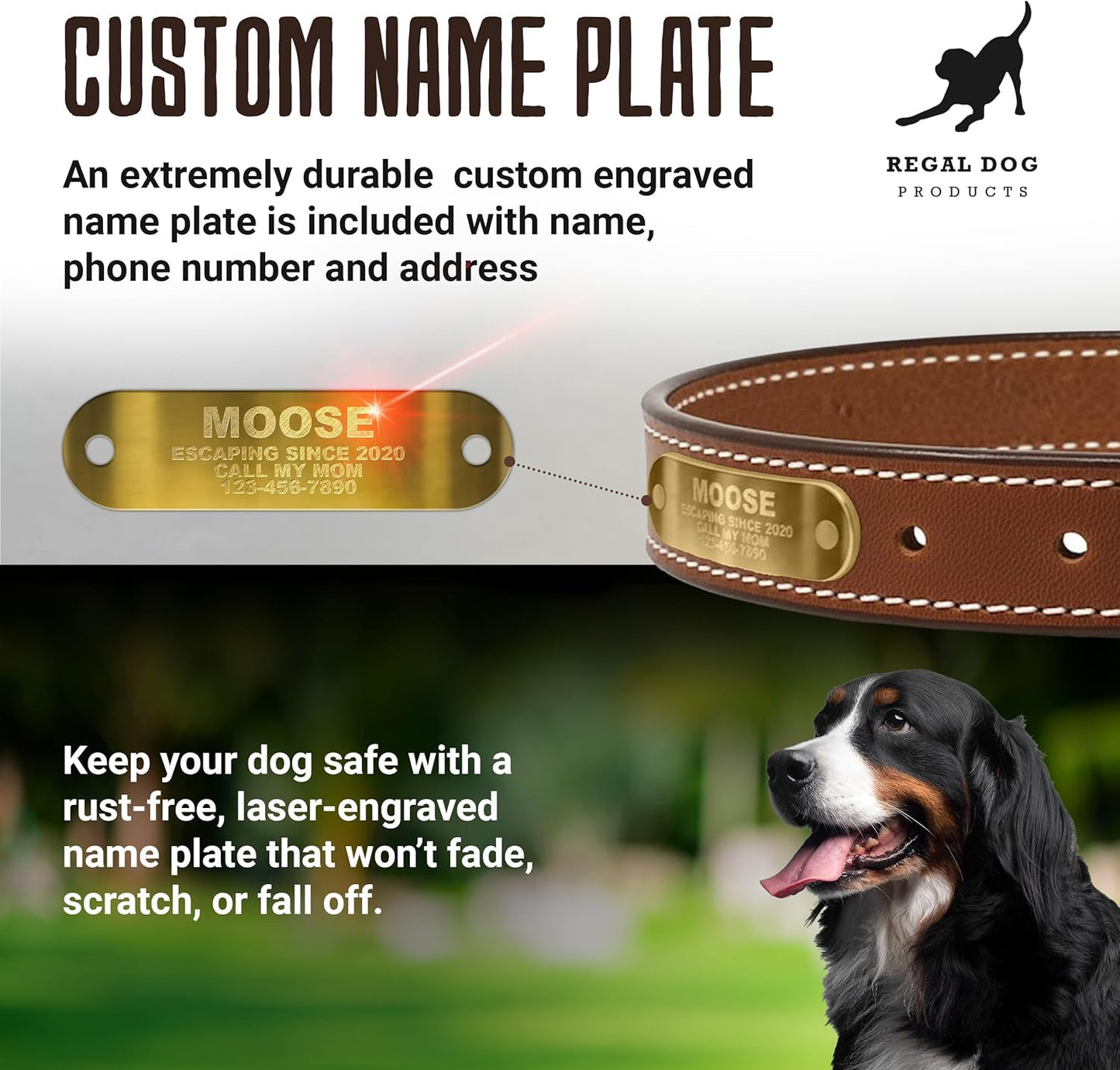 Regal Dog Products Genuine Leather Dog Collar with Personalized Engraved Nameplate with Brass Hardware