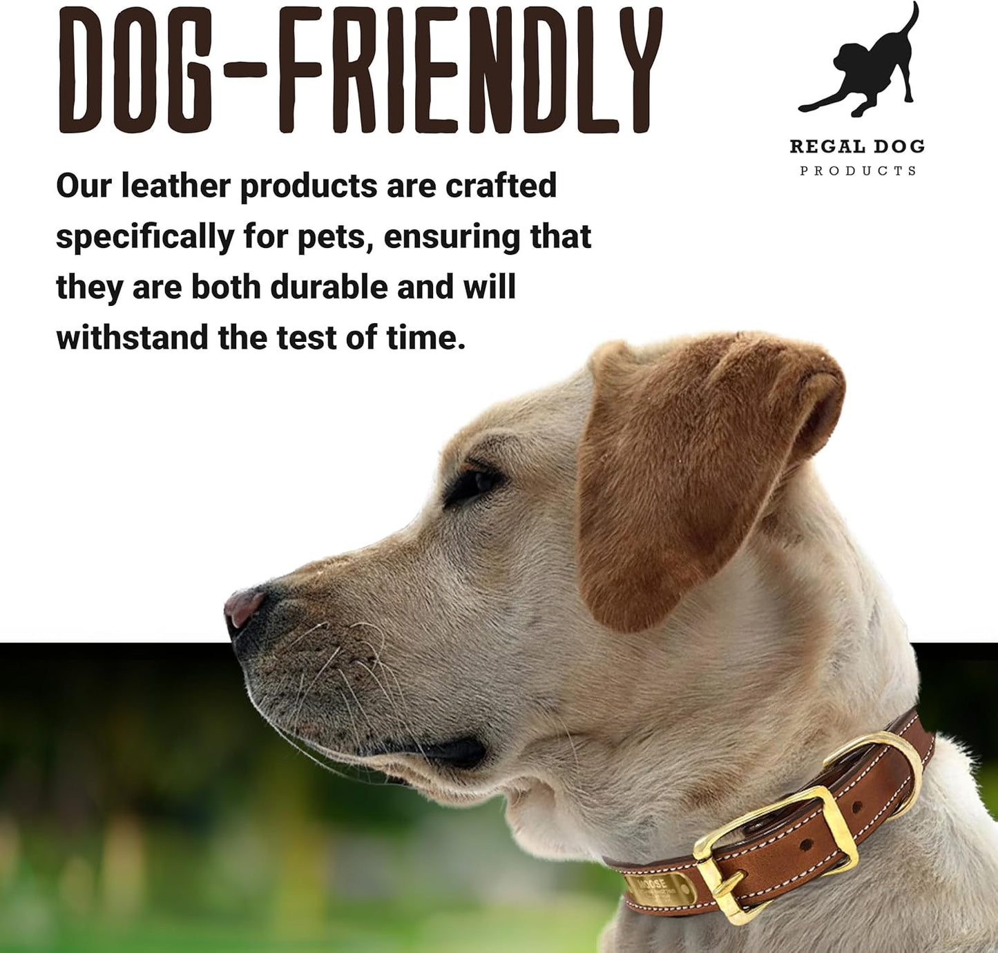 Regal Dog Products Genuine Leather Dog Collar with Personalized Engraved Nameplate with Brass Hardware